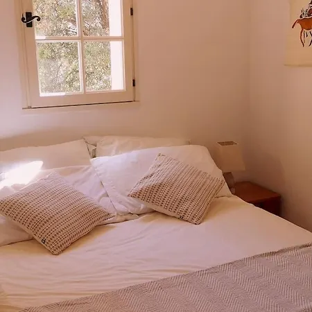 Maison Provençale Vue Croix Valmer Lou Mamet Hébergement de vacances *
